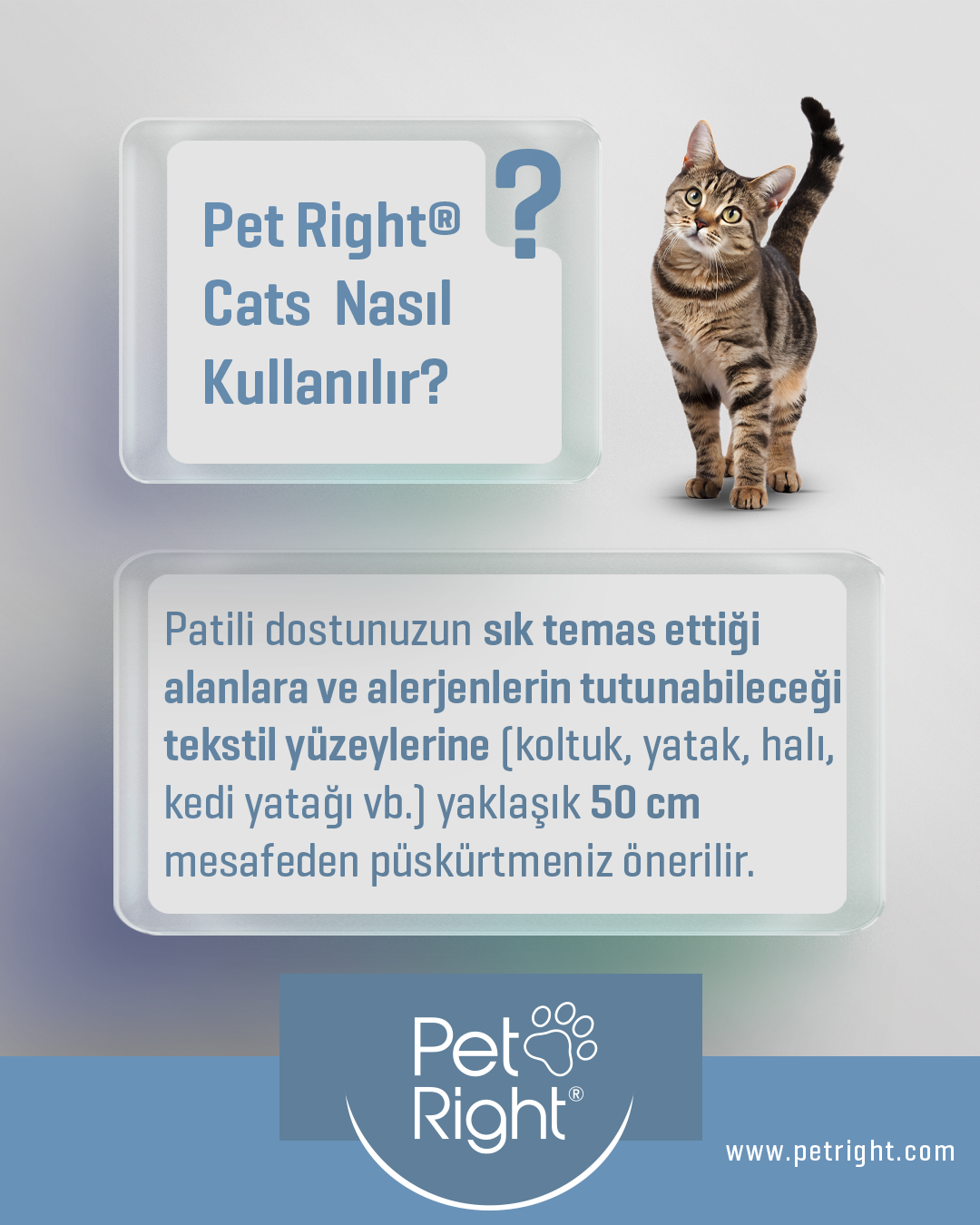 Petright Sosyal Medya